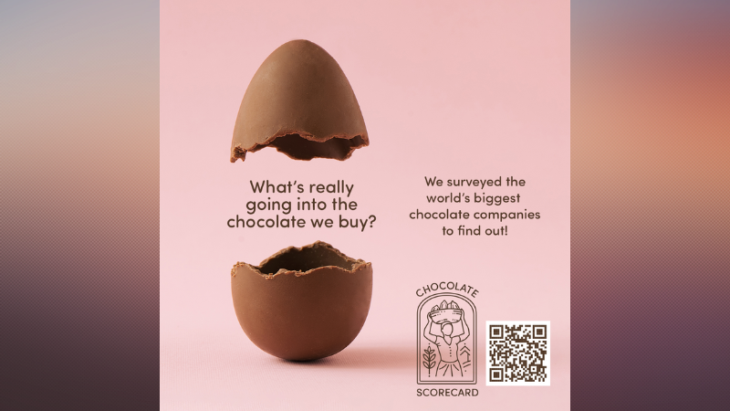 Chocolate Scorecard 2023